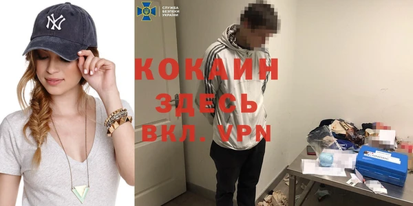 шишки Балабаново