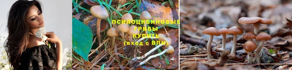прущий лед Балахна