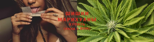 шишки Балабаново