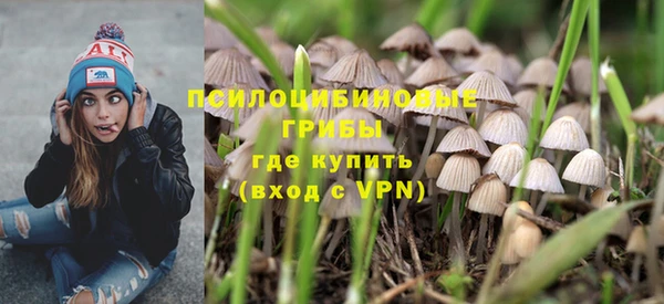 шишки Балабаново